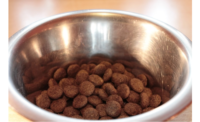 Pet food industry to grow