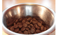 Pet food packaging to grow to 2021