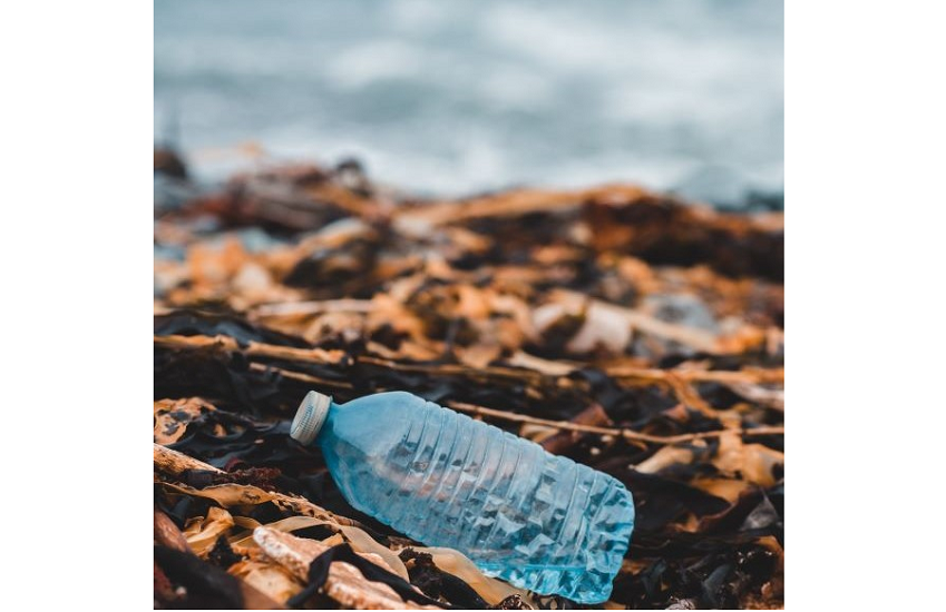 New California Bill Aims to Improve Recyclable Plastic in Beverage  Containers - Food Quality & Safety