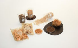 BZEOS sachet, pellets and dried seaweed-900x550.jpg