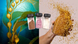 Image showing products that can be created from seaweed