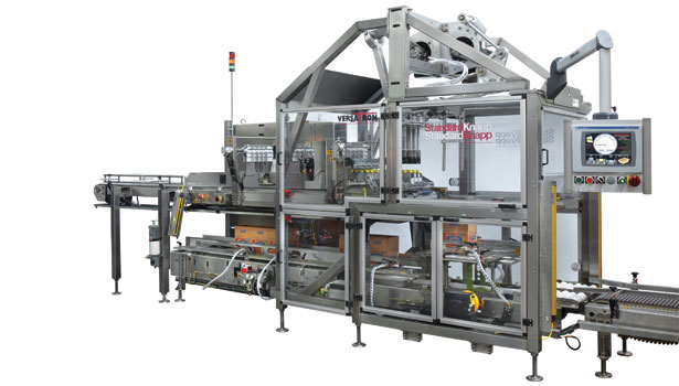 Case Packer  Flexible, Gentle & Fast Case Packing Machine